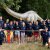 Gruppenbilder Zeltlager 2019